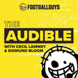 The Audible icon