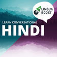Learn Hin... icon