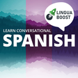 Learn Spa... icon
