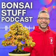 Bonsai Stuff icon