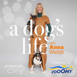 A Dog's L... icon
