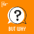 But Why: ... icon