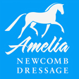 Dressage ... icon