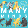 Many Minds icon