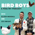 BirdBoys ... icon