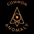 The Commo... icon