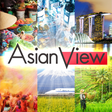 Asian Vie... icon