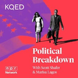 Political... icon