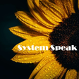 System Sp... icon
