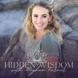 Hidden Wi... icon