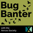 Bug Bante... icon