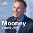 Mooney Go... icon