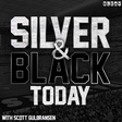 Silver an... icon