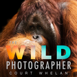 The Wild ... icon
