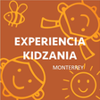 Experienc... icon