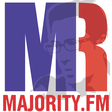 Majority ... icon