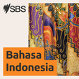 SBS Indon... icon