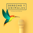Derecho y... icon