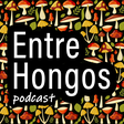 Entre Hongos icon