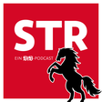 VfB STR icon