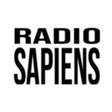 RADIOSAPI... icon
