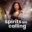Spirits a... icon