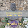 r33volucion icon