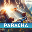 Paracha icon