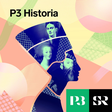 P3 Historia icon