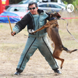 Dog Train... icon