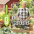 The joe g... icon