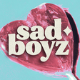 Sad Boyz icon