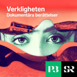 Verkligheten icon