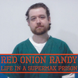 Red Onion... icon