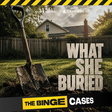 The Binge... icon