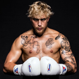 Jake Paul icon