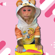 Animals_Home icon