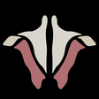 Institute... icon