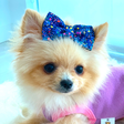Maggie an... icon