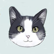 CatPusic ... icon