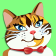 ibxtoycat icon