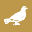 Siasat Daily icon