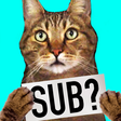 TheMeanKitty icon