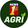NewsFirst... icon
