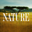 Nature on... icon