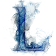 Liberman icon