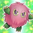 Little Ku... icon