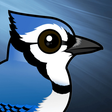 BlueJay icon