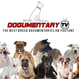 Dogumenta... icon