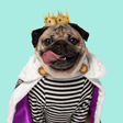 Doug the Pug icon